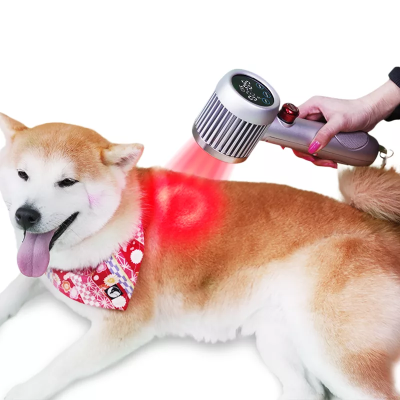 Class IV Veterinary Laser Therapy Device