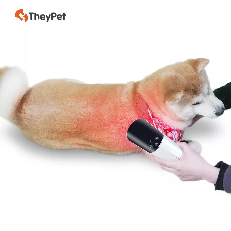 Pet LED Light Therapy Device (2)