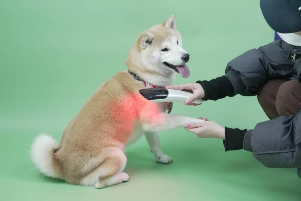 Theypet Handheld Red Light Therapy device 