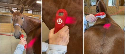 veterinary handheld light therapy device Feedback