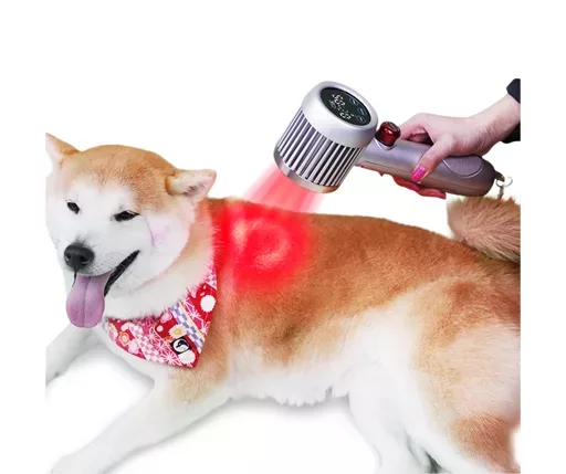 Veterinary Handheld Class IV Laser Therapy Device (10)