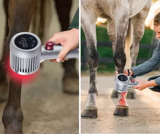 Veterinary Handheld Class IV Laser Therapy Device (7)